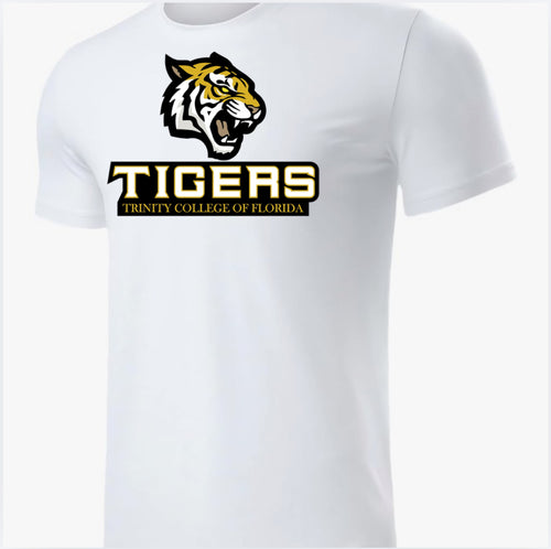 Men's Loose Flex T- Shirt Style 3