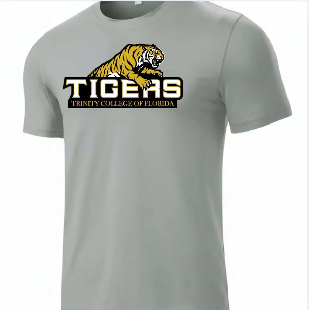 Men's Loose Flex T- Shirt Style 6